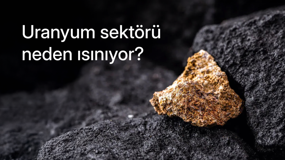 Uranyum sektörü inceleme raporu