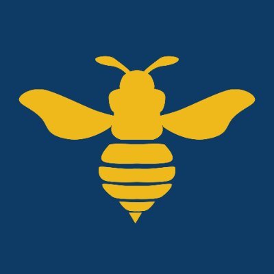 HIVE Digital Technologies Ltd. Common Shares Logo