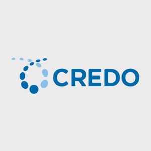 Credo Technology Group Holding Ltd Ordinary Shares Logo
