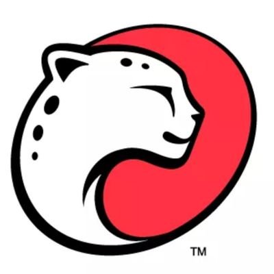 Playtika Holding Corp. Common Stock Logo