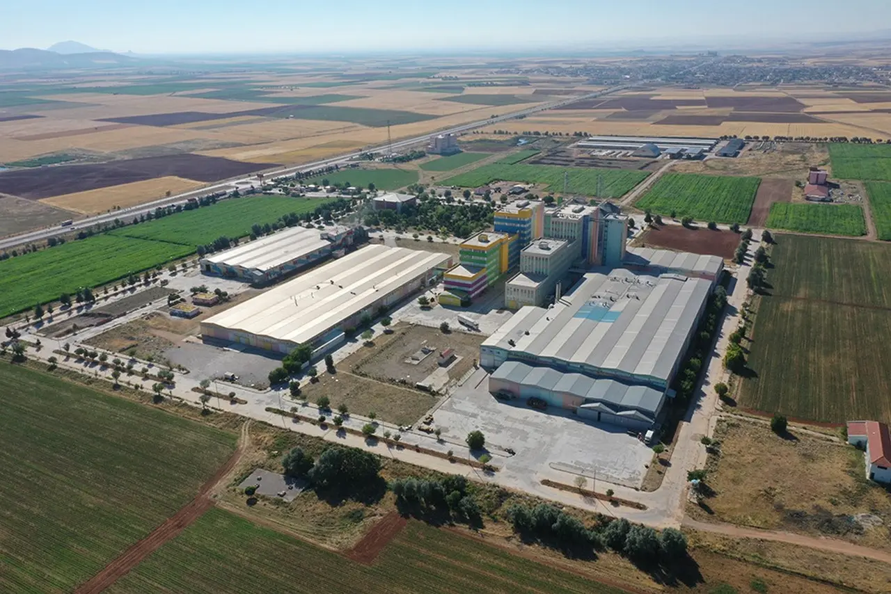 Golda Gıda Halka Arzı Hakkında Bilmen Gereken Her Şey! – 2026