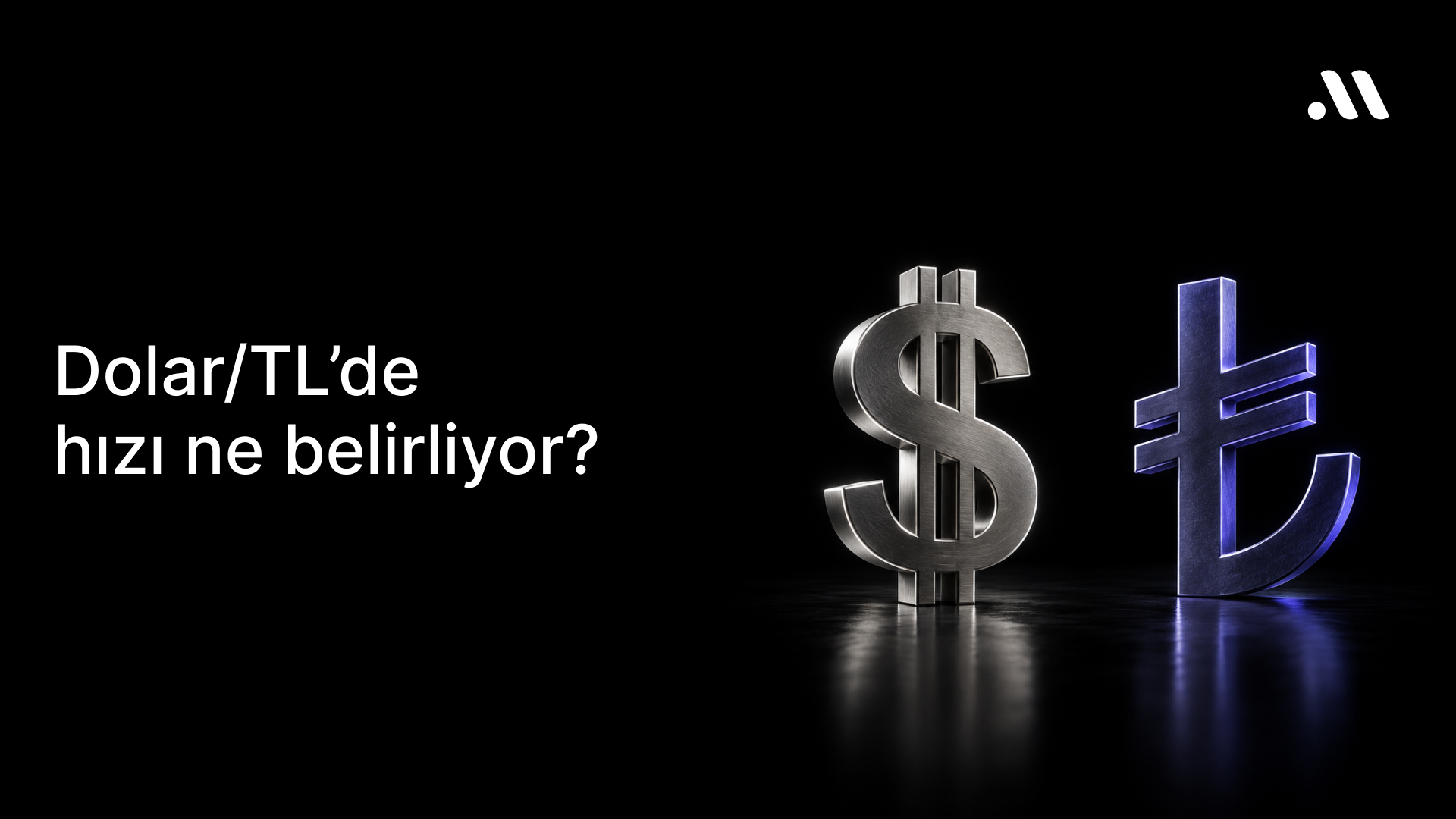 Dolar/TL’de hızı ne belirliyor?